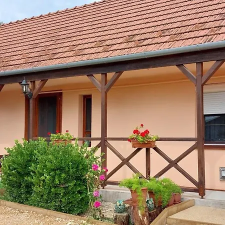 Galiba Vendeghaz Apartment
